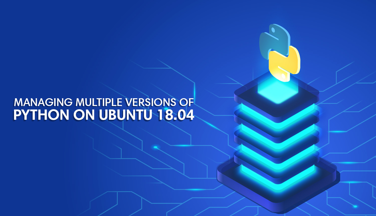 multiple python versions linux